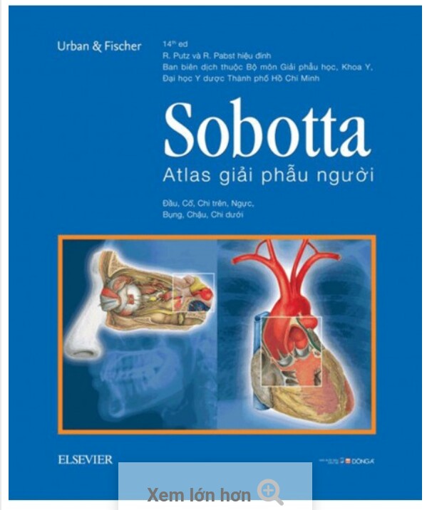 Sobotta atlas giải phẫu người 
